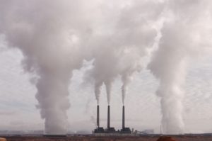 rimborso carbon tax